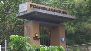 Foto-Kehati-3-scaled.jpg